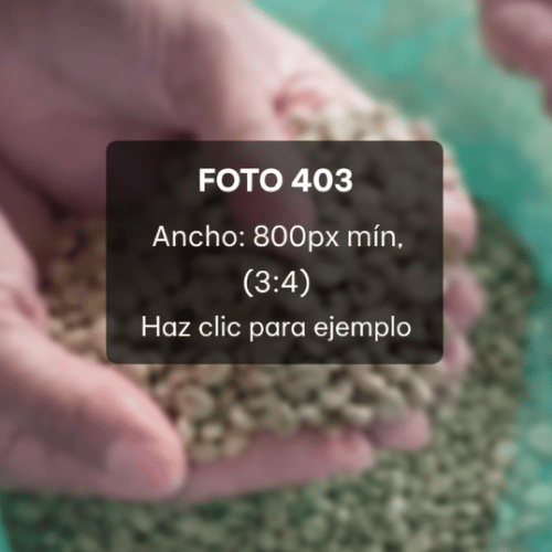 Ejemplo de fotografía vertical para ilustrar un bloque visual dentro del E-Benefiko.