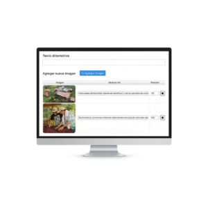 Pantalla de computadora que muestra la galería de fotos del E-Benefiko con imágenes, texto alternativo y posición de cada foto.