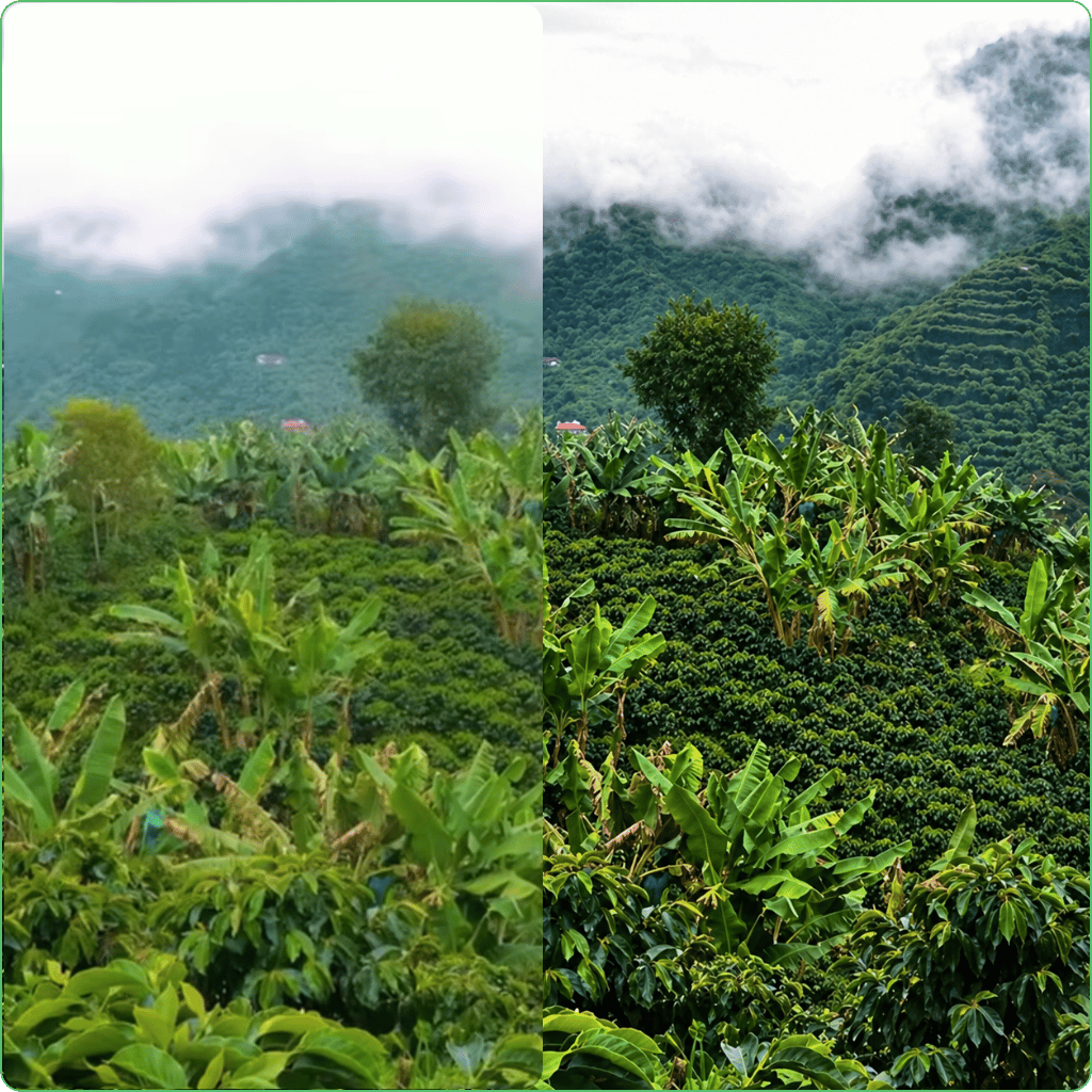 Optimización de imágenes para la galería de fotos - Image 3