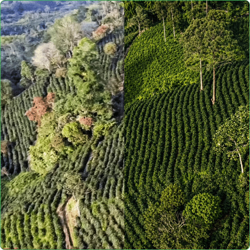 Optimización de imágenes para la galería de fotos - Image 2