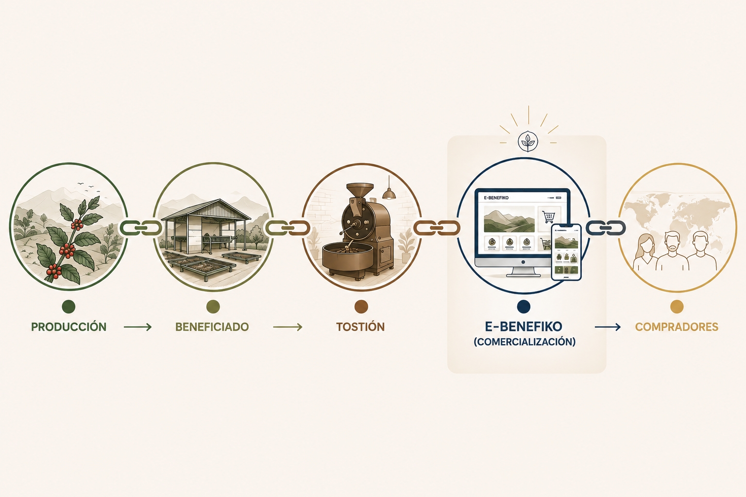 Esquema de la cadena del café de especialidad desde la producción y el beneficiado hasta la tostión, E-Benefiko y los compradores.
