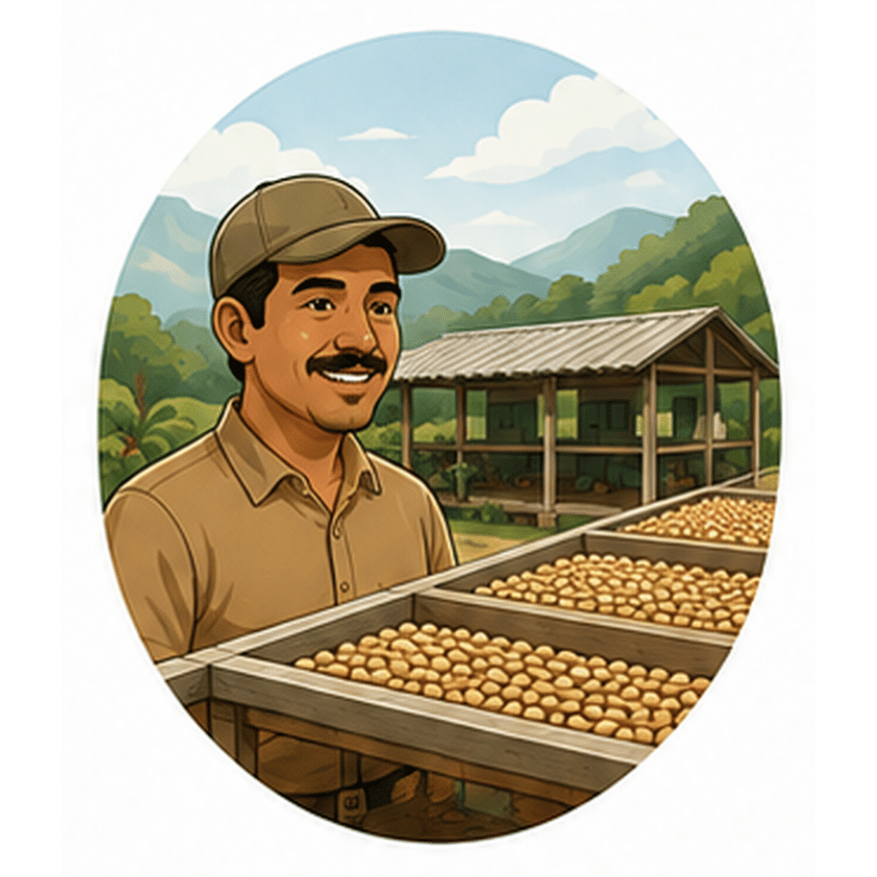 Productor junto a camas de secado de su propio microbeneficio de café.